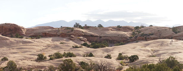 Bonfire burning wood in a fire pit during a gardening clean up session near Bar, Montenegro.