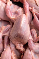 Raw fresh quail birds meat. Healthy food