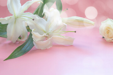 Naklejka na ściany i meble Fresh lilies on a pink background with a rose. Floral background.