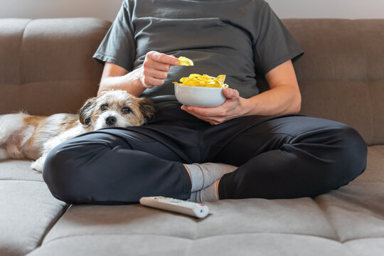 Ein Mann sitzt im Schneidersitz mit einem kleinen Terrier Hund auf einer Couch. Hygge, Zuhause.