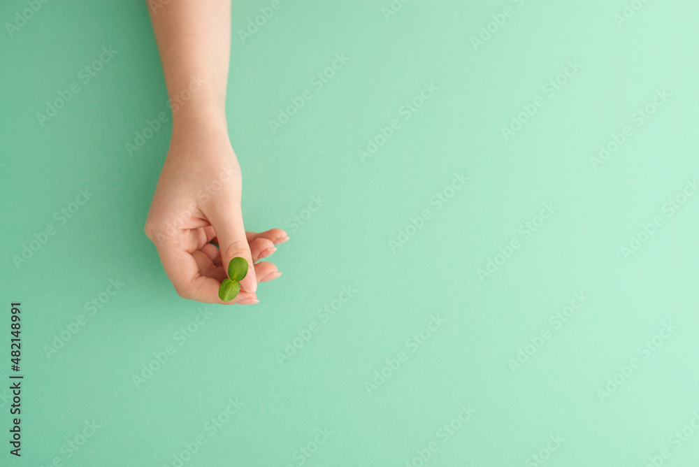 Wall mural female hand holding microgreen sprout over green background