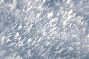 Natural snow crystals. Very frosty weather in the mountains. Macro photography