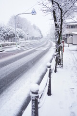 Fototapeta premium どこまでも続く道