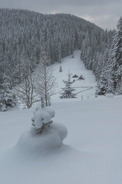 Beautiful winter views of the High Tatra Mountains with tourists, skiers and amazing states of nature