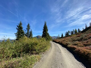 Fototapeta na wymiar Loassattel zwischen Pillberg und Hochfügen Zillertal im Bezirk Schwaz Tirol Österreich mit dem Mountainbike im Herbst