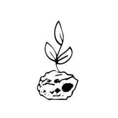 Soil with young sprout sketch icon for web, mobile and infographics. Hand drawn sprout vector icon isolated on white background.