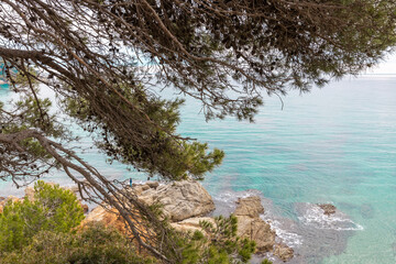 Mediterranean Sea, Spain, Costa Brava. Picturesque landscape with azure sea. Pine trees on the shores of the azure coast. A beautiful beach with lush greenery.