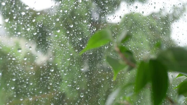 Rainy day behing the window in 4k slow motion 60fps
