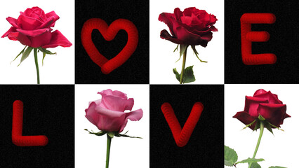 Artistic composition of roses and the words Love on valentine's day. Concept design for Valentine's day.