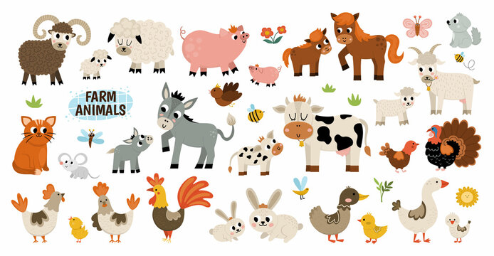Big vector farm animals set. Big collection with cow, horse, goat, sheep, duck, hen, pig and their babies. Country birds illustration pack. Cute mother and baby icons. Rural themed nature collection.