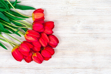 Red tulips on a white wooden background. Mothers Day. March 8. Place for an inscription. The basis for the postcard.