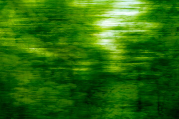 流れる緑と光、新緑のシーズン