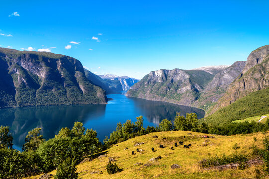 Scenic view of Aurlandsfjorden, Vestland, Norway