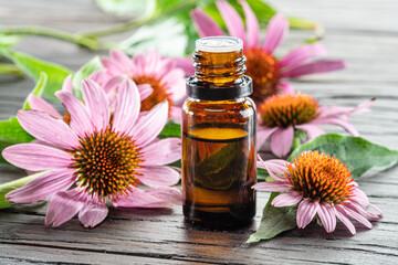 Blooming coneflower heads and bottle of echinacea oil on wooden background close-up.