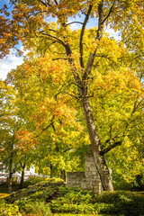 autumn in the park, cesis, gauja national park, latvia, baltic countries, baltics, europe