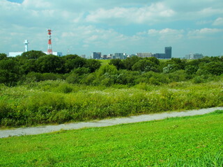 Fototapeta na wymiar 10月の朝の江戸川土手から見る荻原のある河川敷と対岸のマンション群風景