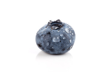 blueberries isolated close up