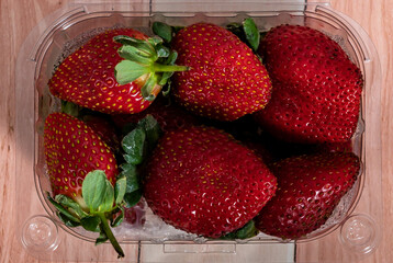 Red ripe strawberries with green stems in a plastic tray