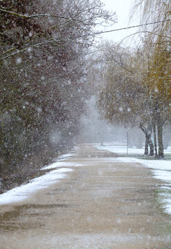 Candamia park snowy day in winter, Leon city Spain, garden area on the banks of the Torio river