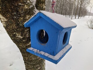 birdhouse hanging on a tree in the park in the winter season covered with snow.