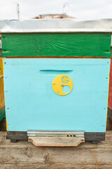 colored wooden bee hives in winter