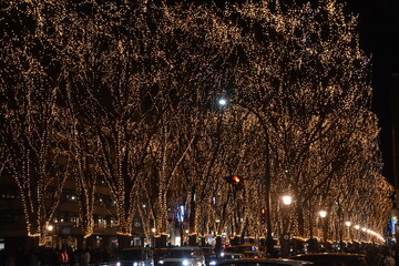 The winter illumination in Sendai