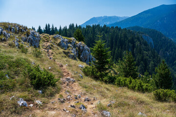  Mountain road through the forest