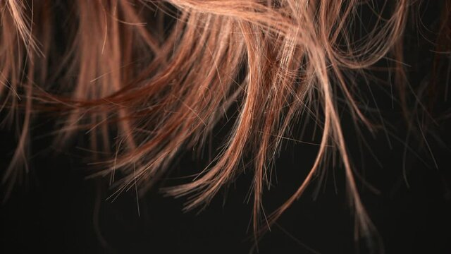 Super Slow Motion Shot of Waving Split Ends of Brown Hair at 1000 fps.