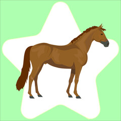 Brauner Pferd  im hellgrüne Hintergrund mit Stern, Vektorgrafik