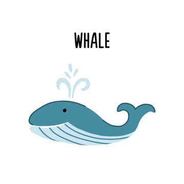 Cartoon image of a sea whale in a simple flat style on a white background