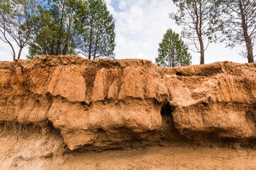 Erosion and washed away soil and exposed tree roots in a dry river bed. Outback Australia.