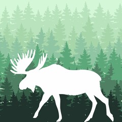 Vector drawing of a moose on a forest background