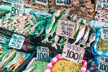 Colorful Kandy Municipal Central Market. Dry food, seasonings and other stuff related to food. Sri Lanka
