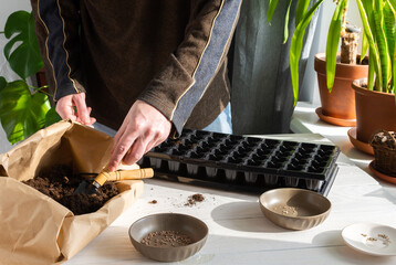 Plastic form for planting seeds on wooden background, paper bag with ground and garden trowel and rakes, tomato and radish seeds , a man is planting seedlings at home