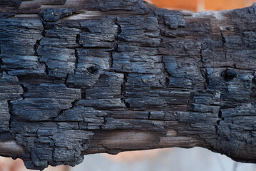 The charred texture of burnt wood, burnt wood background