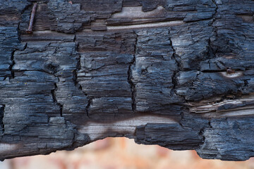 The charred texture of burnt wood, burnt wood background