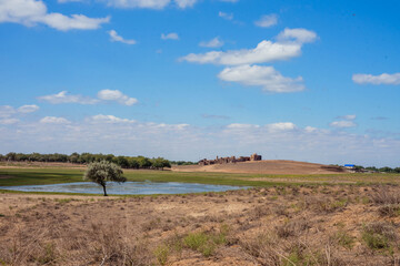 field against a blue sky with white clouds