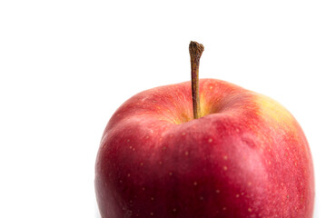 Closeup of apple with a stalk on a white