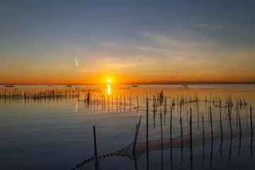 Tableau sur aluminium Paysages Landscape of La Albufera de Valencia in Spain at sunset with fishing nets in the foreground  © Csar