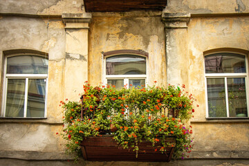 Fototapeta na wymiar window with flowers, vilnius, lithuania, baltics, baltic countries, europe