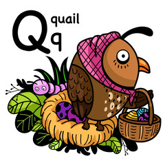 Hand drawn.Alphabet Letter Q-quail