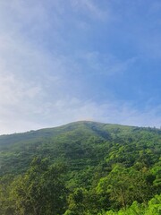 Beautiful Green Mountain Under the Blue Sky