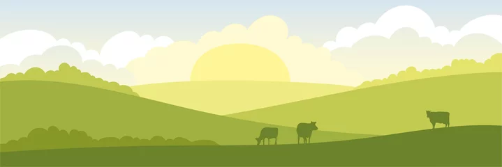  Abstract rural landscape with cows. Vector illustration, fields and meadows © imagination13