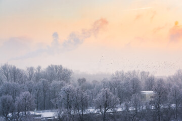 Trees and river after heavy snowfall in Nagatinsky Zaton District, Moscow, Russia