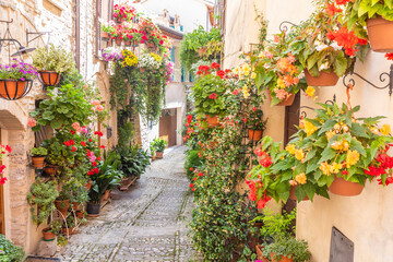 Flowers in ancient street located in Spello village. Umbria Region, Italy.
