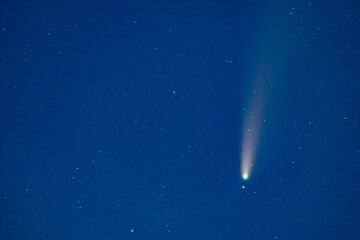 Neowise