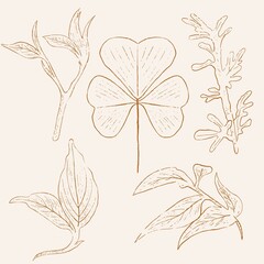 hand drawn leaf line art, hand drawn nature painting. Free hand sketch illustration.