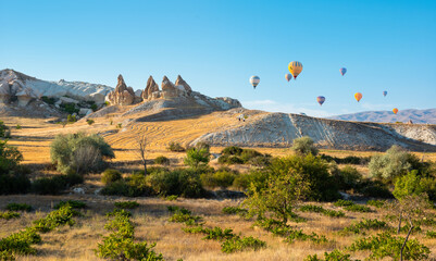 Valley with hot air balloons