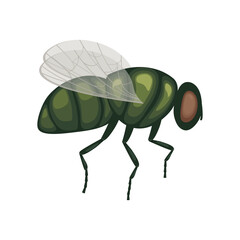 A green fly in flight .A flying insect. Image of a fly, side view. A flying insect. Vector illustration isolated on a white background