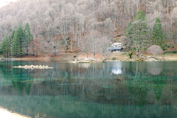 Vue sur le lac de Bethmale en hiver, réflexion sur l'eau, Ariège.